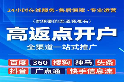 竞价排名案例：跨平台推广效果分析